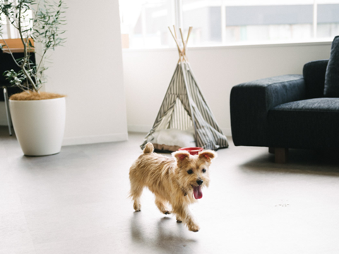 株式会社レタドールの土日OK、文章力格段アップ！授業や就活にも役立つライターインターンの画像3