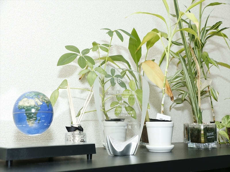 NSS ワークス株式会社の土日OK！プロサッカーチームのWEBサイト開発を行うエンジニア募集の画像2