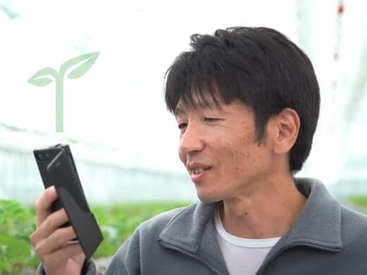 井上寅雄農園の完全リモート！好きな時間に働ける、農業ベンチャーのマーケインターンの画像3