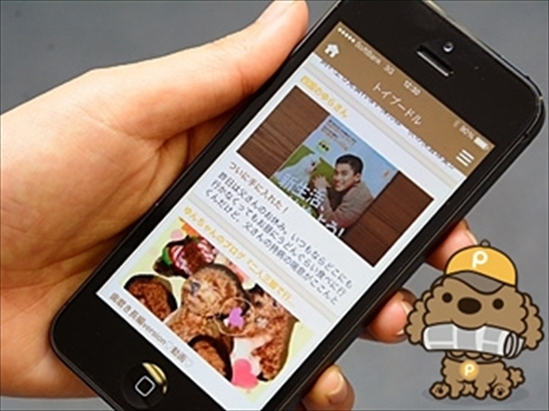 株式会社DEAR PUPPYのペット業界を盛り上げるECサイト運営インターン募集！の画像3