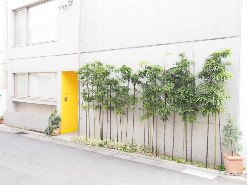 アクシス・サポートの技術とメンタルをサポートする企業でアシスタントインターンシップ！の画像3