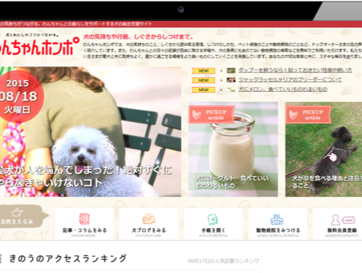 株式会社ピーネストジャパンの犬好き大学生必見☆犬専門のWebサイト運営インターン大募集！の画像2