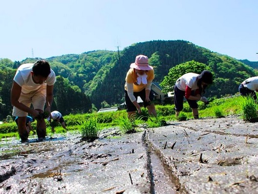 株式会社フランジア・ジャパンのITで日本酒作ろうWE LOVE SAKE！の画像2