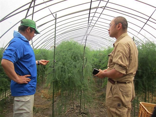 株式会社ウエルシードの農業に関心のある学生おすすめ。農業ビジネスの現場を体験できる！の画像3