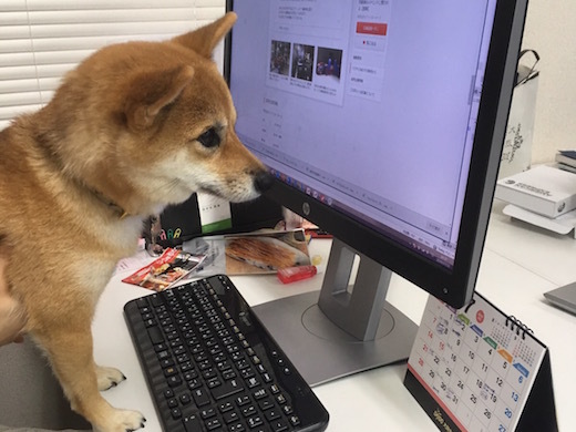 サイバーホルン株式会社の未経験◎ ライティングスキルが上がる！WEBメディア運営者募集！の画像2