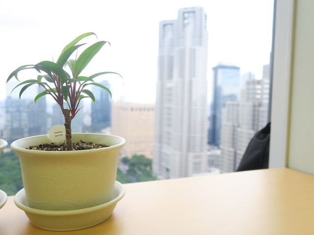 AKI TENNIS 株式会社の自社アプリを主軸に幅広い業務‼受託案件も！向上心の塊来たれ！の画像3