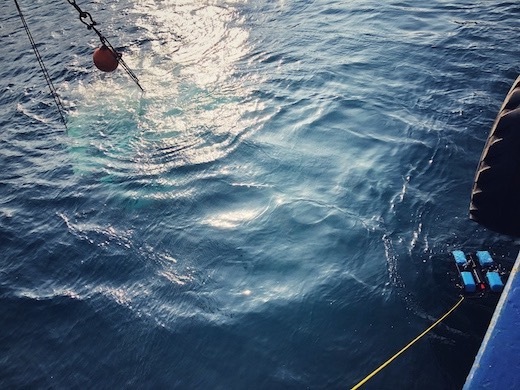 株式会社SIX VOICEの水中ドローンに関する技術開発インターンの画像3