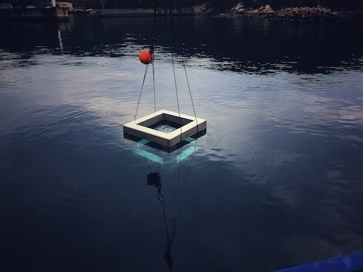 株式会社SIX VOICEの水中ドローンに関する技術開発インターンの画像2