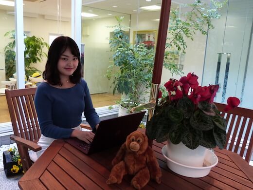 DSJホールディングス株式会社のTOEIC800点or留学経験必須！英語のアシスタントインターンの画像1