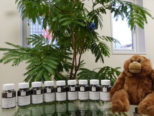 DSJホールディングス株式会社のTOEIC800点or留学経験必須！英語のアシスタントインターンの画像3