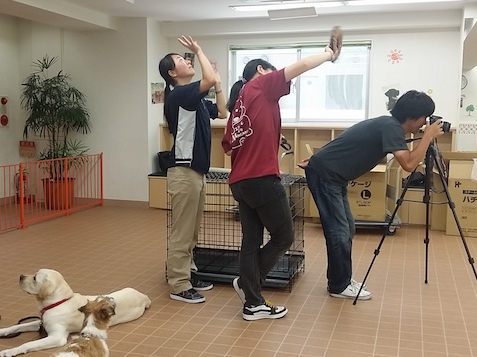 株式会社市瀬のペット関連のリーフレット・カタログ制作のデザイナーインターン募集の画像2